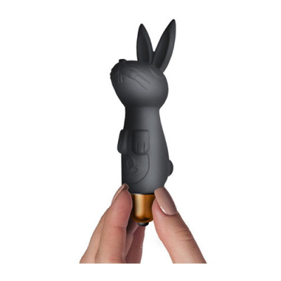 Rocks Off Silhouette - Dark Desires Kit Unboxed View