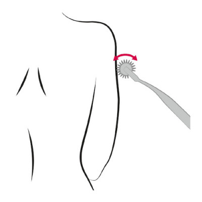 Sextreme - Medical Pinwheel Diagram